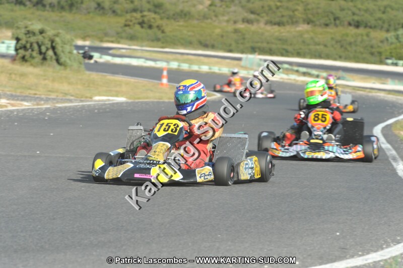 DSC (4037).JPG